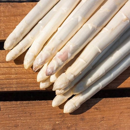 Witte-Asperges-AA-Wit-Hoekstra-Asperges.jpg